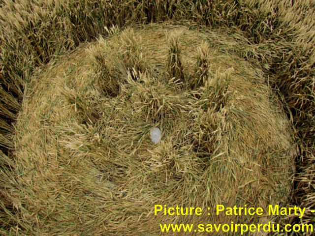 Chalk Pit, Wiltshire crop circle, aerial photo 51